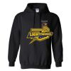 Triumph Studios - Core Fleece Pullover Hooded Sweatshirt Thumbnail