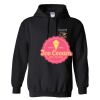 Triumph Studios - Core Fleece Pullover Hooded Sweatshirt Thumbnail