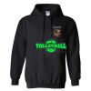 Triumph Studios - Core Fleece Pullover Hooded Sweatshirt Thumbnail