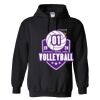 Triumph Studios - Core Fleece Pullover Hooded Sweatshirt Thumbnail