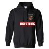 Triumph Studios - Core Fleece Pullover Hooded Sweatshirt Thumbnail