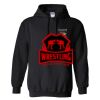 Triumph Studios - Core Fleece Pullover Hooded Sweatshirt Thumbnail