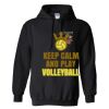 Triumph Studios - Core Fleece Pullover Hooded Sweatshirt Thumbnail
