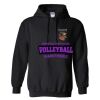 Triumph Studios - Core Fleece Pullover Hooded Sweatshirt Thumbnail