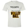 Triumph Studios - Softstyle ® T Shirt Thumbnail