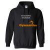 Triumph - Core Fleece Pullover Hooded Sweatshirt Thumbnail