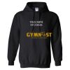 Triumph - Core Fleece Pullover Hooded Sweatshirt Thumbnail