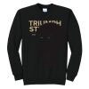Triumph - Core Fleece Crewneck Sweatshirt Thumbnail
