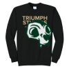 Triumph - Core Fleece Crewneck Sweatshirt Thumbnail