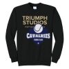 Triumph - Core Fleece Crewneck Sweatshirt Thumbnail