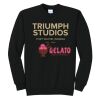Triumph - Core Fleece Crewneck Sweatshirt Thumbnail