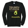 Triumph - Core Fleece Crewneck Sweatshirt Thumbnail