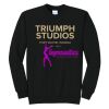 Triumph - Core Fleece Crewneck Sweatshirt Thumbnail