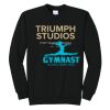 Triumph - Core Fleece Crewneck Sweatshirt Thumbnail