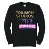 Triumph - Core Fleece Crewneck Sweatshirt Thumbnail