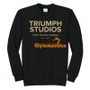 Triumph - Core Fleece Crewneck Sweatshirt Thumbnail