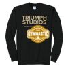 Triumph - Core Fleece Crewneck Sweatshirt Thumbnail