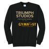 Triumph - Core Fleece Crewneck Sweatshirt Thumbnail