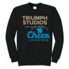 Triumph - Core Fleece Crewneck Sweatshirt Thumbnail