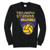 Triumph - Core Fleece Crewneck Sweatshirt Thumbnail