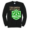 Triumph - Core Fleece Crewneck Sweatshirt Thumbnail