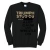 Triumph - Core Fleece Crewneck Sweatshirt Thumbnail
