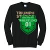 Triumph - Core Fleece Crewneck Sweatshirt Thumbnail