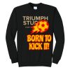 Triumph - Core Fleece Crewneck Sweatshirt Thumbnail
