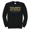 Triumph - Core Fleece Crewneck Sweatshirt Thumbnail