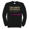 Triumph - Core Fleece Crewneck Sweatshirt Thumbnail