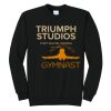 Triumph - Core Fleece Crewneck Sweatshirt Thumbnail