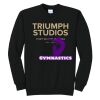 Triumph - Core Fleece Crewneck Sweatshirt Thumbnail