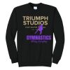 Triumph - Core Fleece Crewneck Sweatshirt Thumbnail