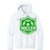 Triumph - Core Fleece Pullover Hooded Sweatshirt Thumbnail