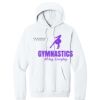 Triumph - Core Fleece Pullover Hooded Sweatshirt Thumbnail